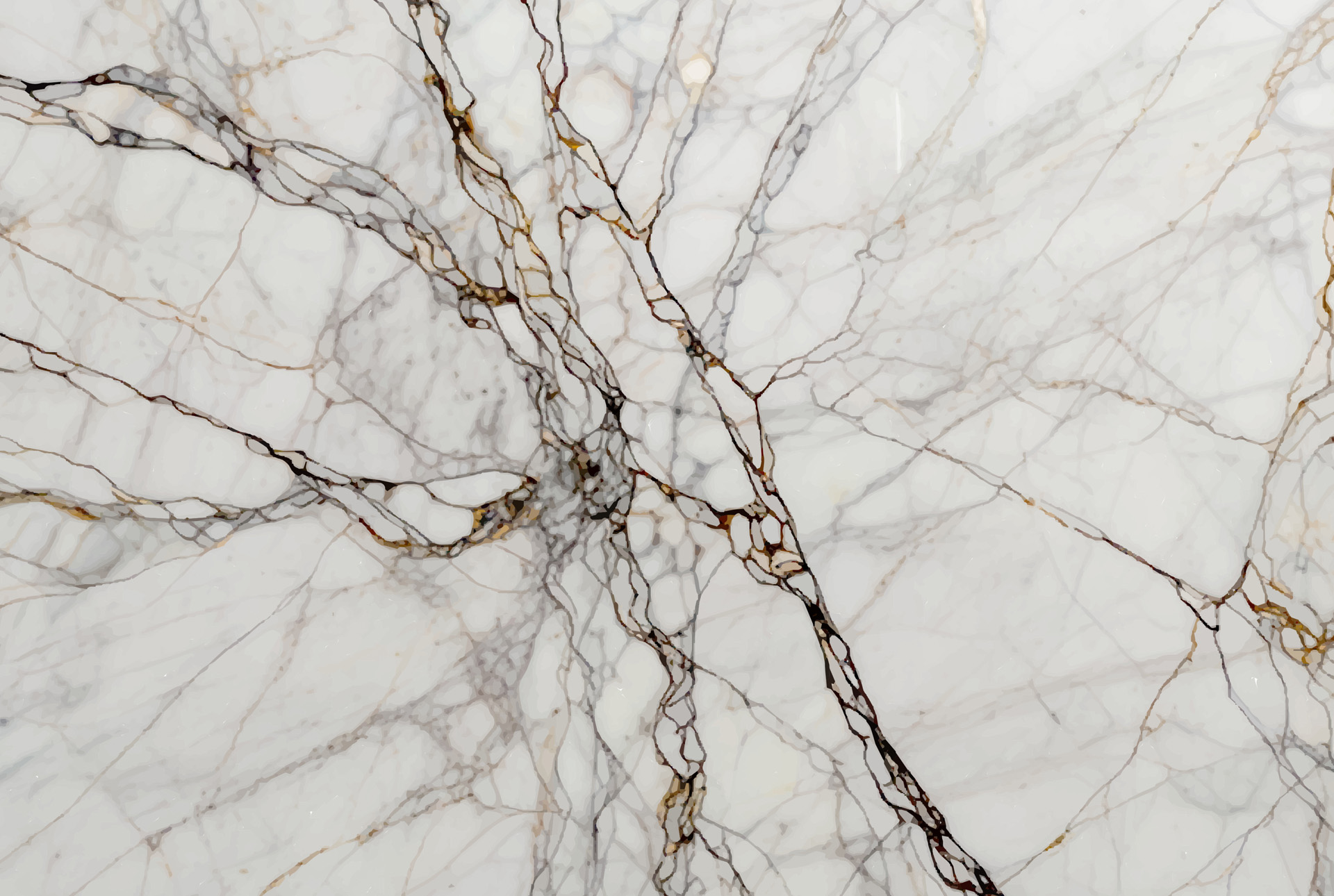 Division of Family Services